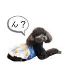 Suaちゃんstamp（個別スタンプ：28）