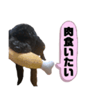 Suaちゃんstamp（個別スタンプ：29）