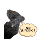 Suaちゃんstamp（個別スタンプ：30）