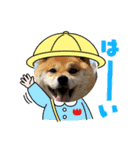 らんちゃんの気持ち（個別スタンプ：1）