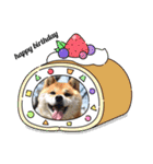 らんちゃんの気持ち（個別スタンプ：10）
