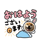 らんちゃんの気持ち（個別スタンプ：12）