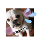 フレブルスタンプ BURUNO Ⅱ（個別スタンプ：3）