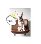 フレブルスタンプ BURUNO Ⅱ（個別スタンプ：4）