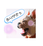 フレブルスタンプ BURUNO Ⅱ（個別スタンプ：6）