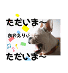 フレブルスタンプ BURUNO Ⅱ（個別スタンプ：8）