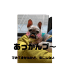 フレブルスタンプ BURUNO Ⅱ（個別スタンプ：14）