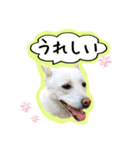 メイ姉さんのお茶目スタンプ（個別スタンプ：7）
