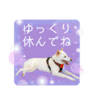 メイ姉さんのお茶目スタンプ（個別スタンプ：37）