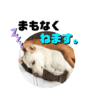 メイ姉さんのお茶目スタンプ（個別スタンプ：39）