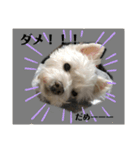 我が家の、もーにゃん♡（個別スタンプ：10）