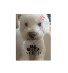 我が家の、もーにゃん♡（個別スタンプ：15）