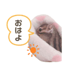 シマリスのむぎちゃんスタンプ♡（個別スタンプ：1）