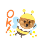 べにまるのスタンプ(ポメラニアン)（個別スタンプ：7）