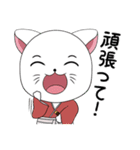 Cat Samurai Japan Sticker line（個別スタンプ：11）