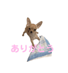 天くんの日常スタンプ（個別スタンプ：6）