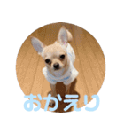 天くんの日常スタンプ（個別スタンプ：10）