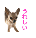 天くんの日常スタンプ（個別スタンプ：14）