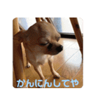 天くんの日常スタンプ（個別スタンプ：22）