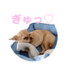 天くんの日常スタンプ（個別スタンプ：32）