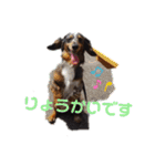 茨城犬くぅ（個別スタンプ：9）