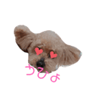 きゅーとスタンプ-2（個別スタンプ：3）