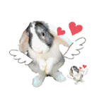 うさぎ はりねずみ（個別スタンプ：1）