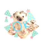 うさぎ はりねずみ（個別スタンプ：11）