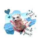 うさぎ はりねずみ（個別スタンプ：15）