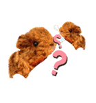うさぎ はりねずみ（個別スタンプ：21）