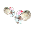 うさぎ はりねずみ（個別スタンプ：27）