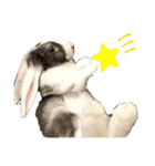うさぎ はりねずみ（個別スタンプ：35）