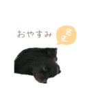 オレオとそら (日常生活編)（個別スタンプ：2）
