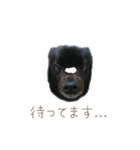 オレオとそら (日常生活編)（個別スタンプ：6）