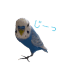 オレオとそら (日常生活編)（個別スタンプ：12）
