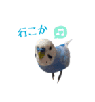 オレオとそら (日常生活編)（個別スタンプ：14）