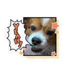 生誕10年（個別スタンプ：6）