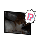 生誕10年（個別スタンプ：7）