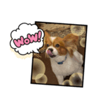 生誕10年（個別スタンプ：8）