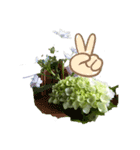 紫陽花のつぶやき（個別スタンプ：6）