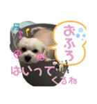 ラルスタンプ3（個別スタンプ：15）
