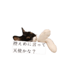 白黒鍵しっぽキーちゃん（個別スタンプ：32）