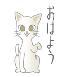 猫大好き！（大）その18（個別スタンプ：1）