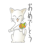 猫大好き！（大）その18（個別スタンプ：5）