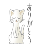 猫大好き！（大）その18（個別スタンプ：6）