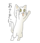 猫大好き！（大）その18（個別スタンプ：15）