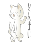 猫大好き！（大）その18（個別スタンプ：21）