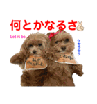 赤いりぼんの可愛い仲間達②（個別スタンプ：1）
