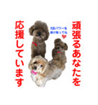 赤いりぼんの可愛い仲間達②（個別スタンプ：2）