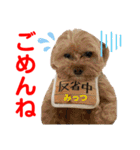 赤いりぼんの可愛い仲間達②（個別スタンプ：3）